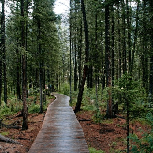 Тур по главным и редким местам Алтая на УАЗах: Чуйский тракт, горы, урочища, озёра и скалы