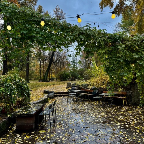 Петербург для жаворонков, или Утренняя прогулка по Петроградской стороне