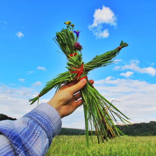 Тихвинские тропы и парк «Вепсский лес» — из Петербурга