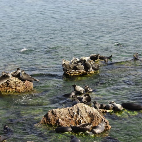 За трофеями на Байкал с местными: рыбалка с катера, катамарана и на реках