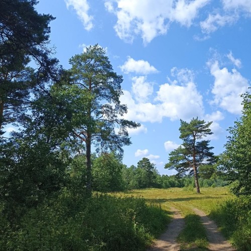 Сплав на байдарках по реке Осуге (всё включено)