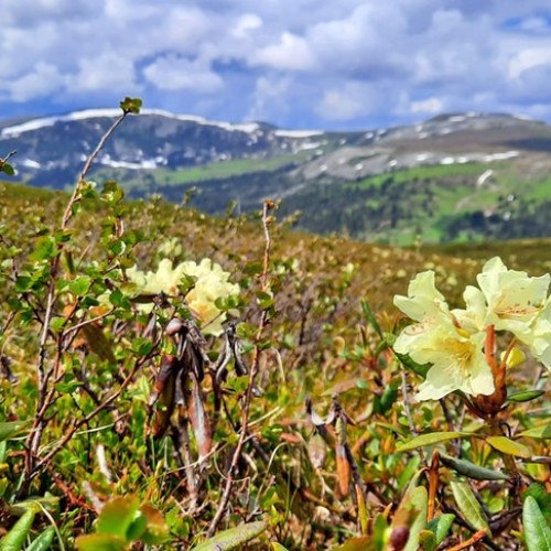 Сказочные Саяны: треккинг в природном парке «Ергаки»