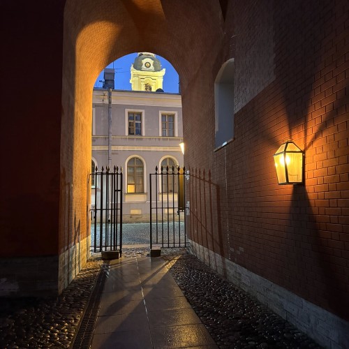 В ссылку по любви: истории жён декабристов