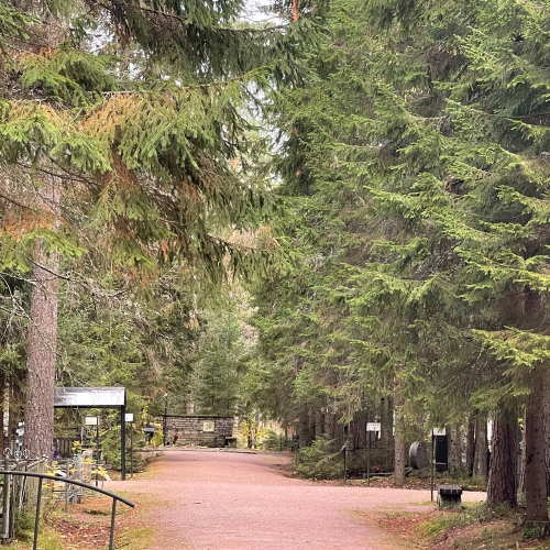 Из Петербурга в Комарово: обитель муз и гениев (в уютной мини группе)