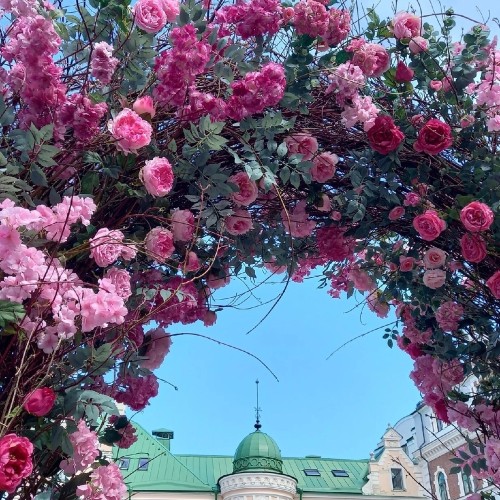 В старинный Выборг — на комфортабельном авто из Петербурга