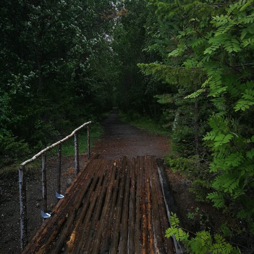 Ваше персональное путешествие вглубь веков: петроглифы, Кижи и Соловецкий монастырь