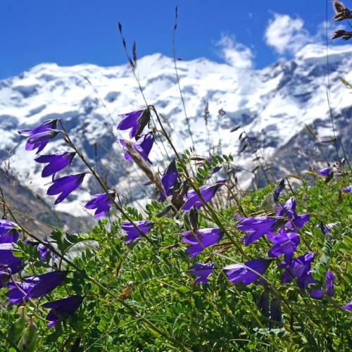 Треккинг налегке в Безенги с размещением в альплагере