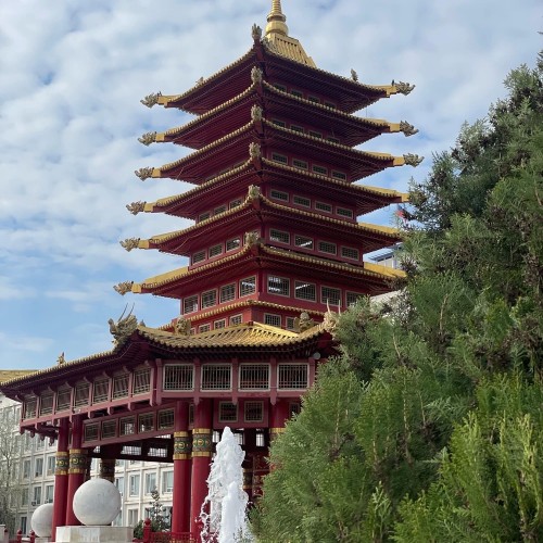 На выходные в Калмыкию: Элиста и цветущие степи