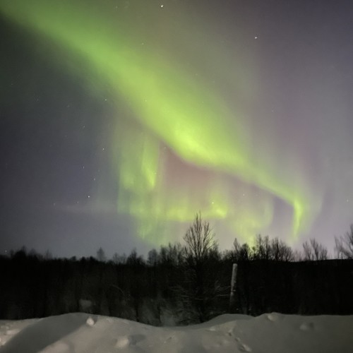 Своей компанией на Русский Север: Мурманск, Териберка, Кировск и саамы