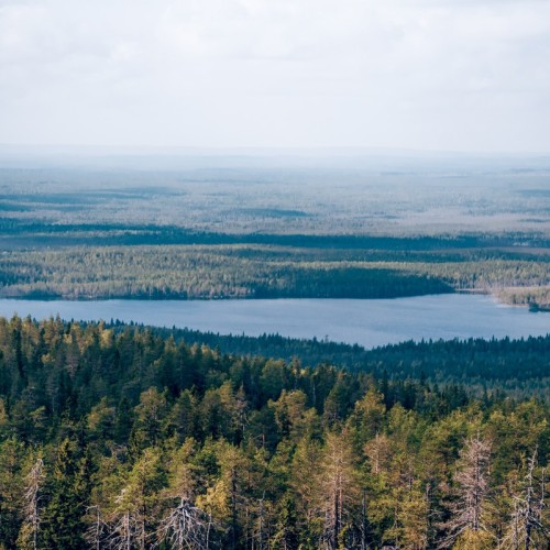 Поход-перезагрузка среди дикой природы Карелии в мини-группе (из Санкт-Петербурга)