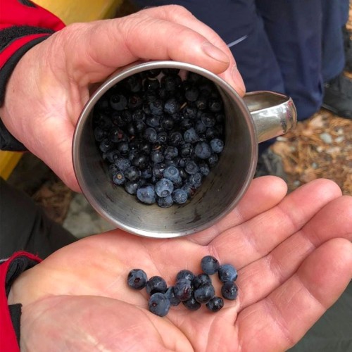 Лёгкий треккинг в Приэльбрусье с проживанием в гостинице