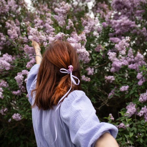 На цветение сирени в Липецкую область из Москвы: Богородицк, Елец и природа