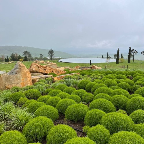 Вкусы черноморского побережья: винное путешествие по Сочи, Новороссийску, Геленджику, Анапе и Тамани