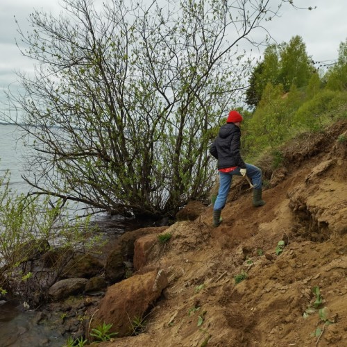 За окаменелостями музейного уровня в Ярославскую область с палеонтологом
