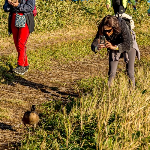 Почувствуй край земли: магия дальних островов Кунашир и Шикотан в мини-группе