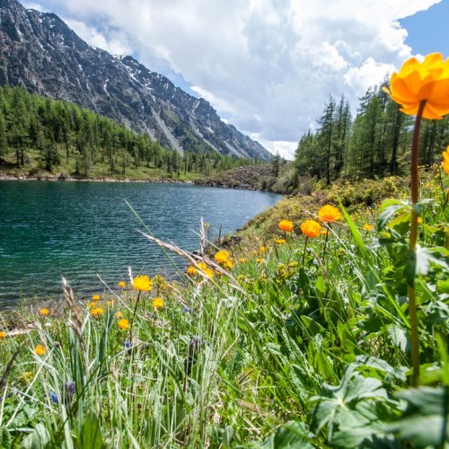 Алтай — активный: конная прогулка, лёгкий сплав и треккинг к горным озёрам + топовые локации