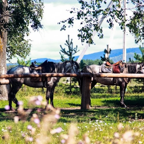 Выходные в селе Кага с проживанием в купольным доме, конной прогулкой и сплавом (всё включено)
