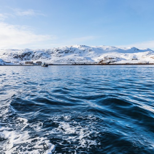 Выходные в Арктике в мини-группе: Мурманск, Кировск и Териберка