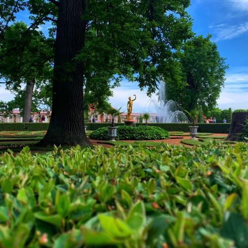 В Петергоф на скоростном судне: экскурсия по Нижнему парку и Большому дворцу