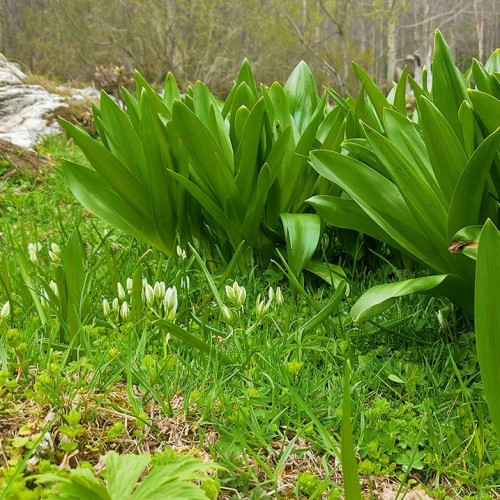 Весенний Архыз: треккинг налегке с проживанием в гостинице