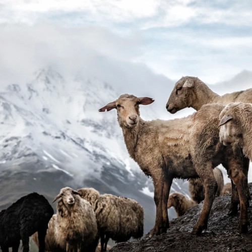 Неделя в стране гор: необычные места Дагестана и восхождение на Шалбуздаг