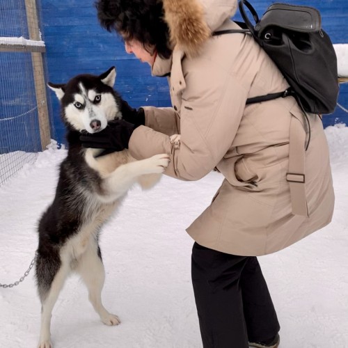 Тур за полярным кругом: Мурманск и Териберка в мини-группе