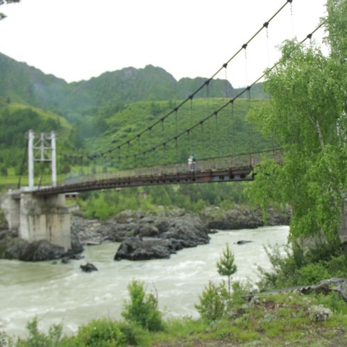 Сиреневые горы, Алтай и май: главные места во время цветения маральника в мини-группе (всё включено)