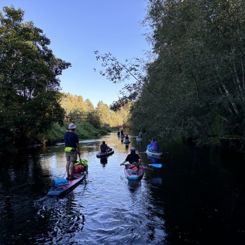 На сапбордах по реке Оредеж в мини-группе со съёмкой