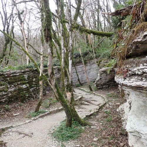 Дни и ночи в дивном Сочи: город и окрестности