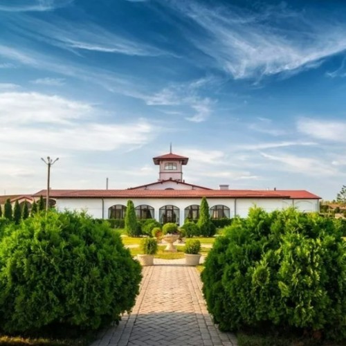 На одной широте с виноградниками Италии: гастропутешествие по винодельням Краснодарского края