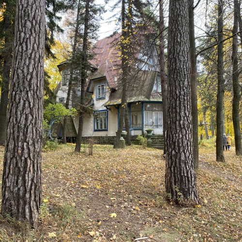 Комарово и дачный Петербург