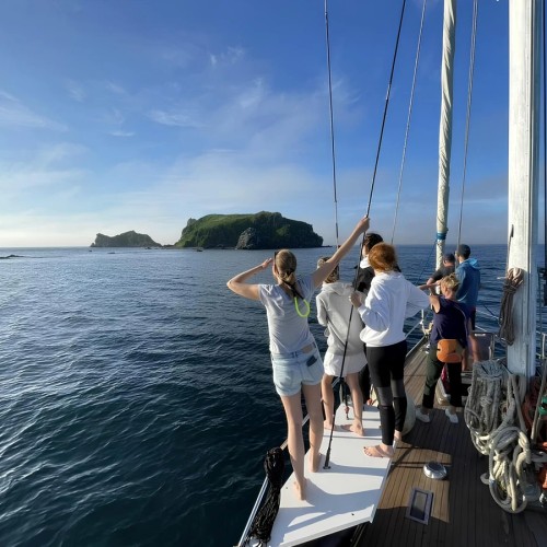 По волнам Японского моря на яхте с маской, сапом и деликатесами (мини-группа)