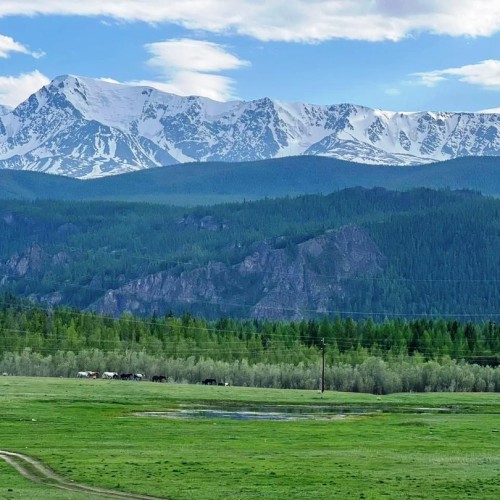 Перезагрузка на Алтае: топ локаций, заповедное озеро и моторафтинг по Катуни