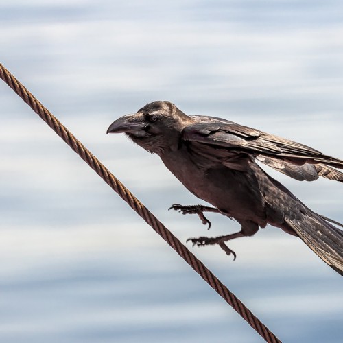 Почувствуй край земли: магия дальних островов Кунашир и Шикотан в мини-группе