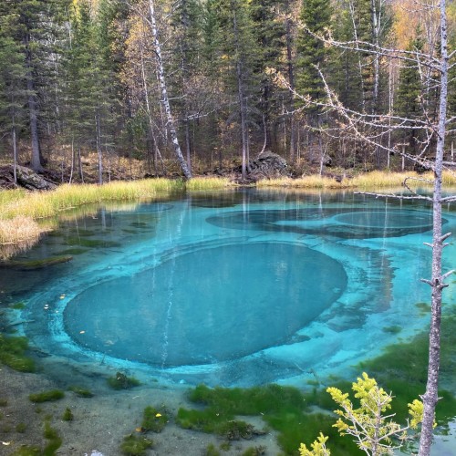 Золотой маршрут Алтая в золотую осень: индивидуальный тур