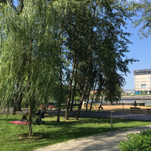 Сколково — будущее в настоящем