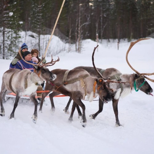 Океан впечатлений на Кольском: выход в море и снегоходы, Хибины и Териберка (мини-группа)