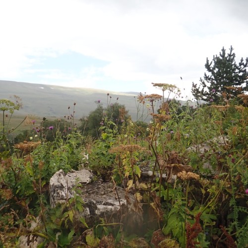 В Адыгею за походами, пещерами и древностями