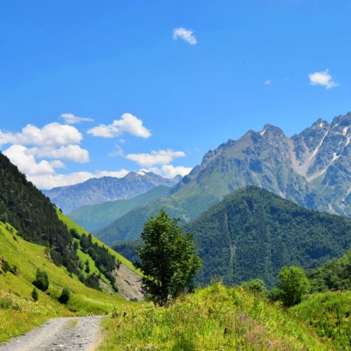 Персональная поездка по Дигории: природа и отдых в термальных источниках