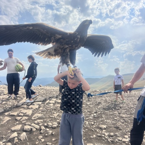 Уик-энд в Архызе: автовыезд по главным местам региона в мини-группе