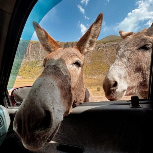 Индивидуально по Кавказу с посещением мест на выбор