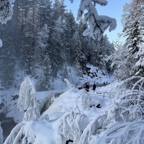 Карелия в белом наряде: зимняя сказка в Петрозаводске, Приладожье и парке «Рускеала»