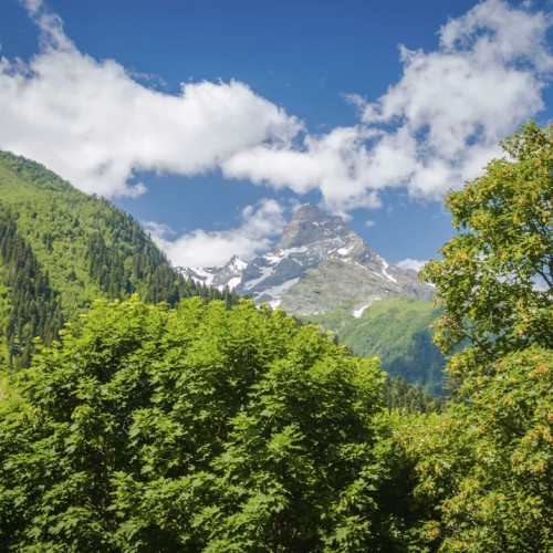 Лёгкий треккинг в горах Домбая с комфортом