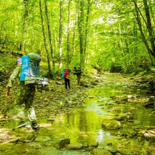 Запах разнотравья и никого вокруг: поход с рюкзаками по долине реки Пшада (всё включено)