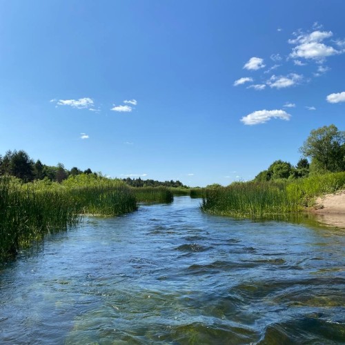 Подальше в лес: сплав на байдарках по реке Медведице