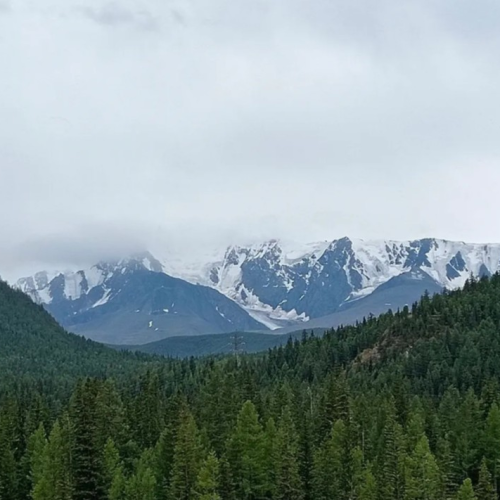 Возрождающая сила Алтая: ретрит-тур в женской компании