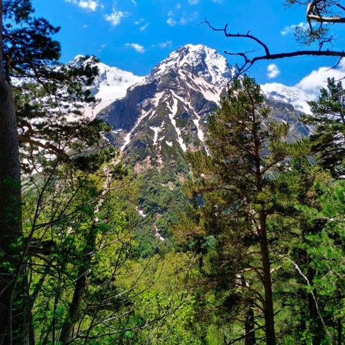 Семейный треккинг в Дигории с размещением в гостинице