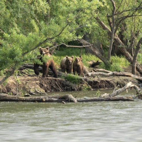 Вулканы, киты, океан: исследуем Камчатку налегке