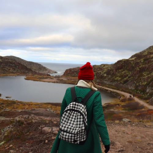 На Кольский в поисках китов и дельфинов мини-группой