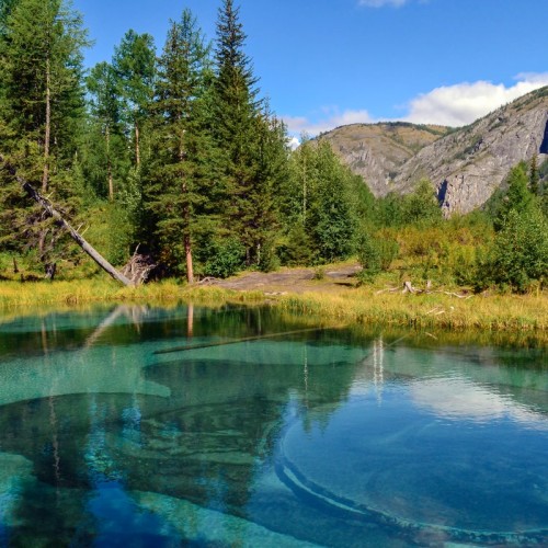 Приехать на Алтай, увидеть цветение маральника и оказаться на Марсе